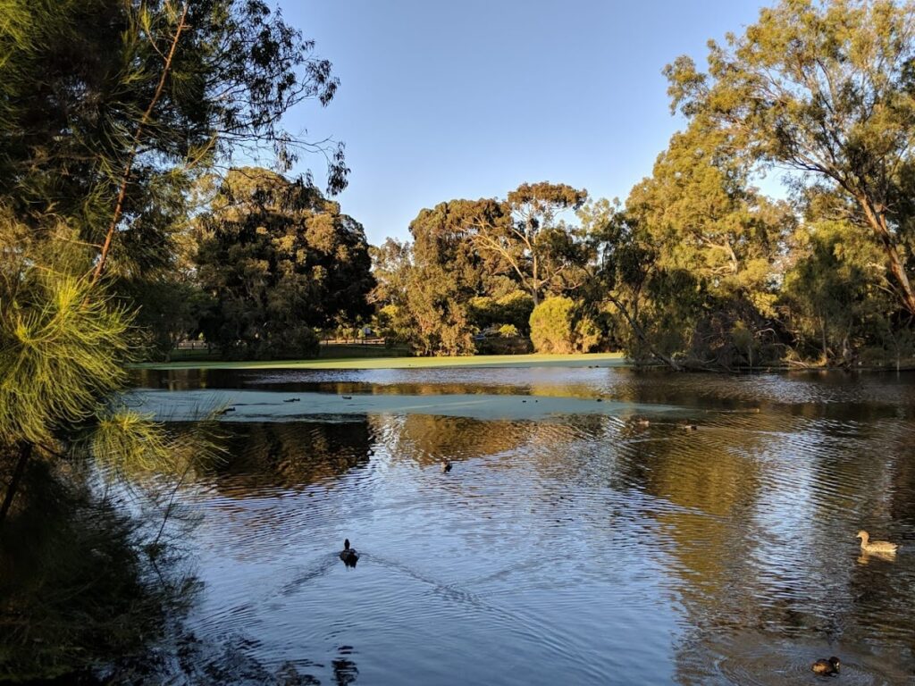 Neil McDougall Park - 5 minute walk